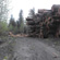 Heli Logging